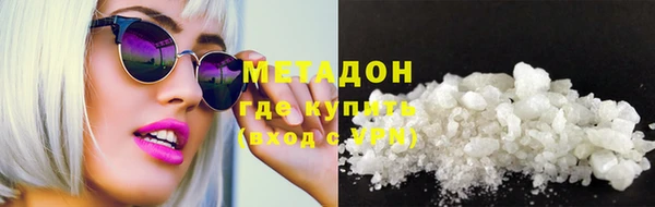 прущие грибы Апатиты