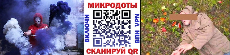 Галлюциногенные грибы Psilocybe  Порхов 